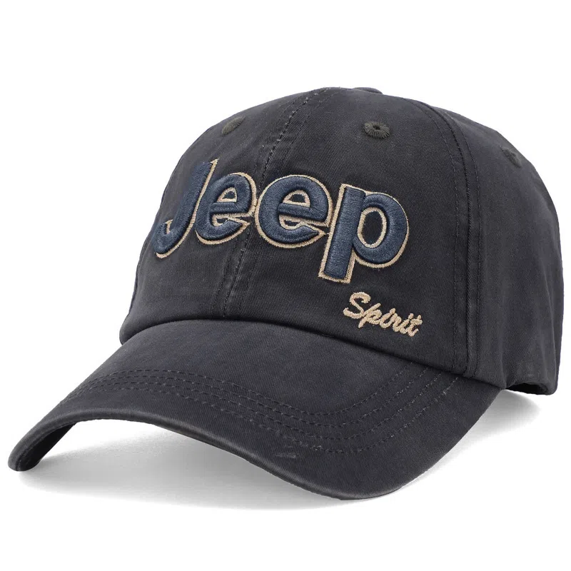 JEEP SPIRIT ins