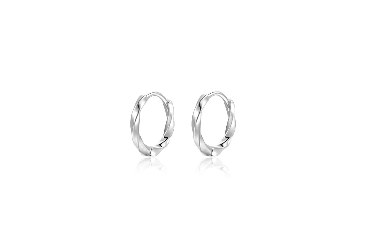JOYDINNY S925 Silver Earrings