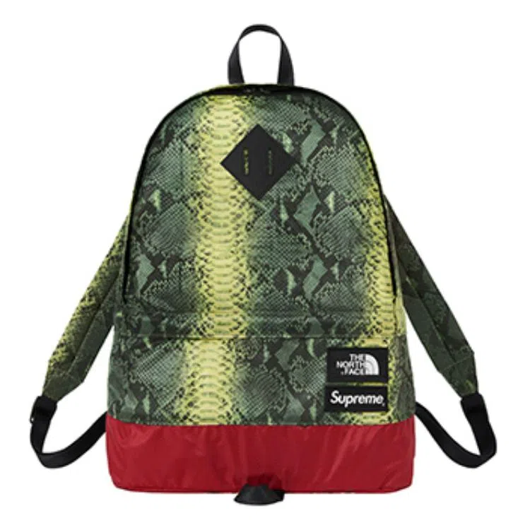 Supreme x The North Face SS18 Backpack Green