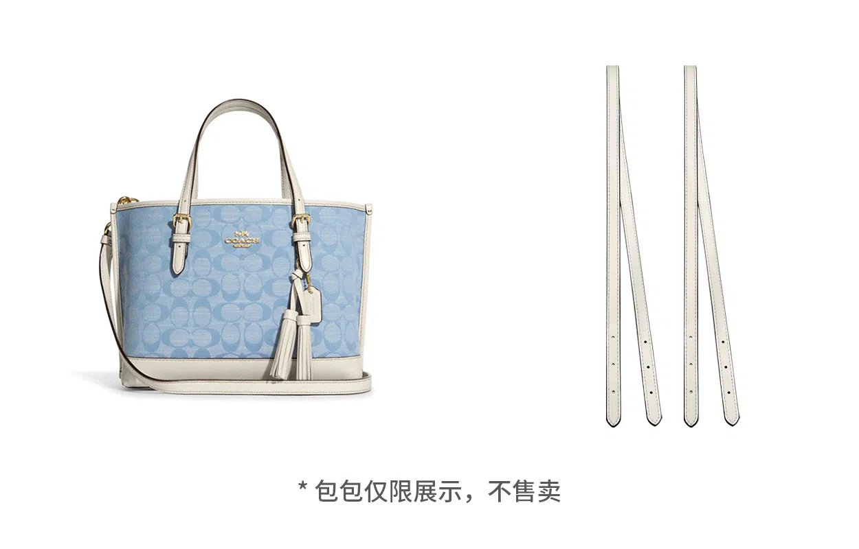 COACH Mollie 25 Tote