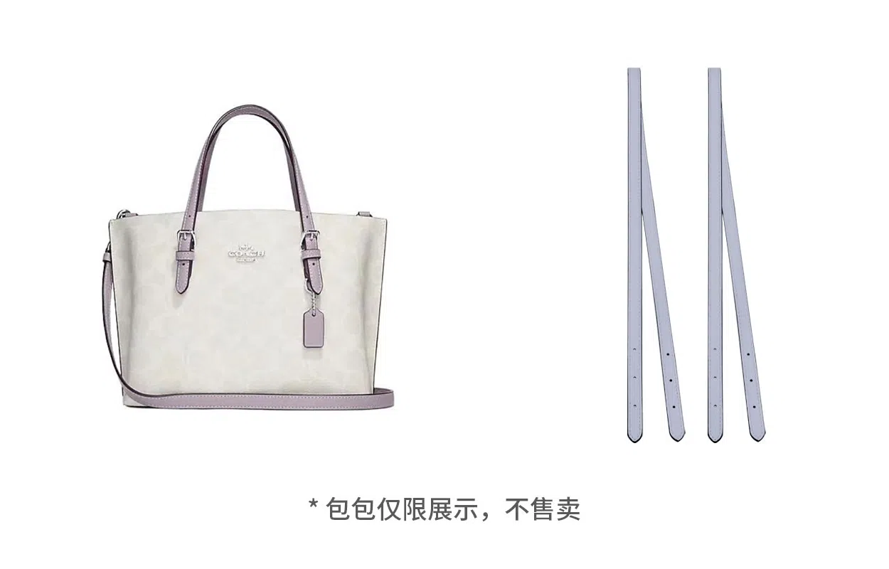 COACH Mollie 25 Tote