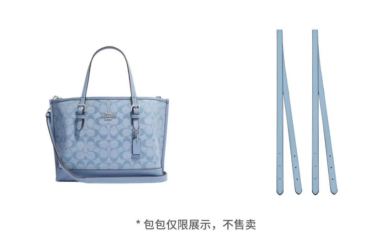 COACH Mollie 25 Tote