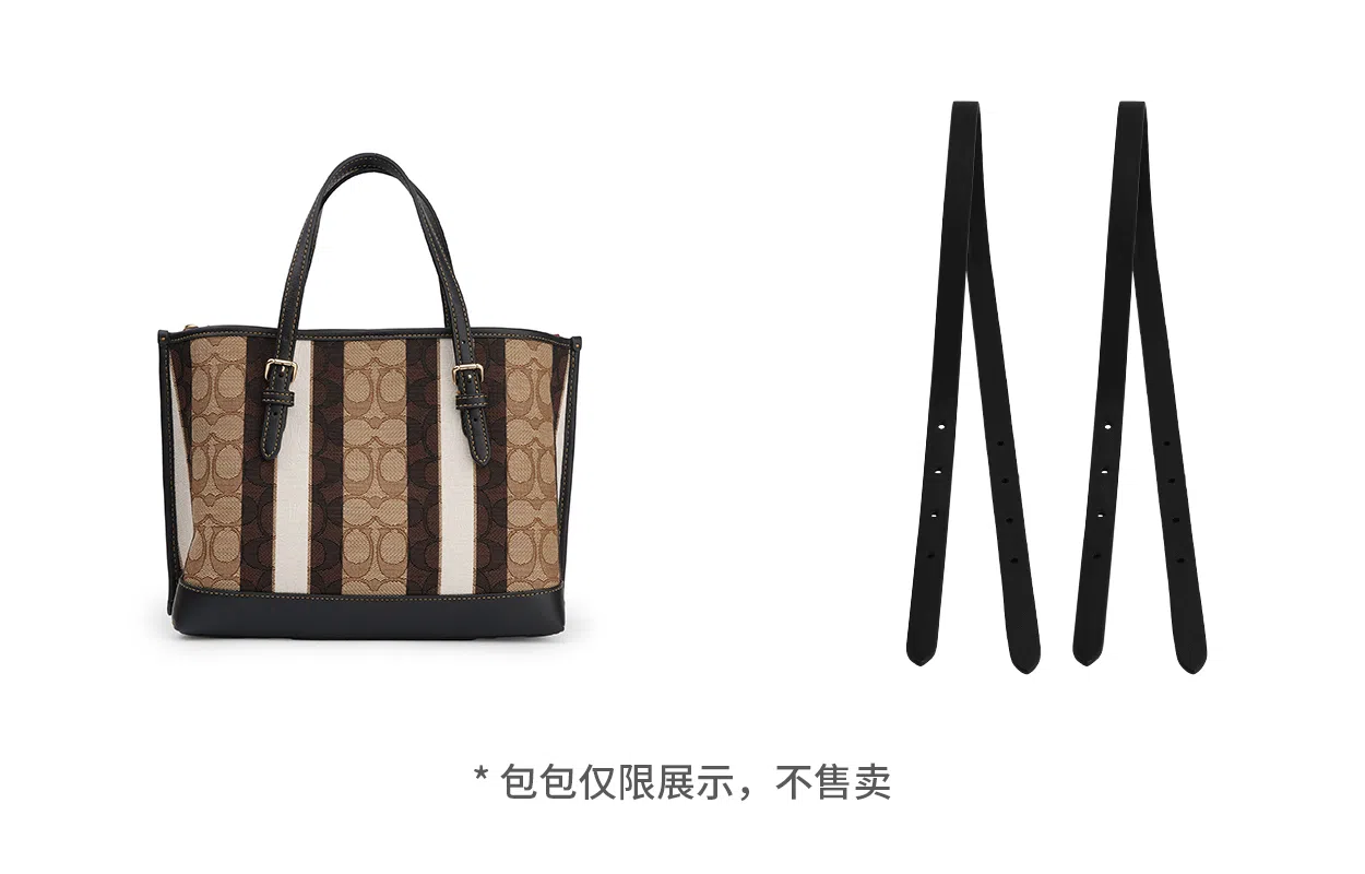 COACH Mollie 25 Tote