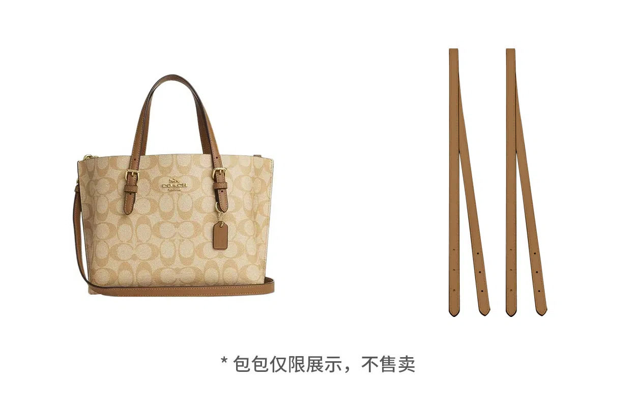 COACH Mollie 25 Tote