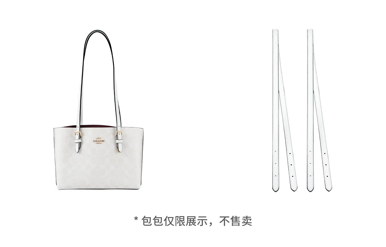 COACH Mollie 25 Tote