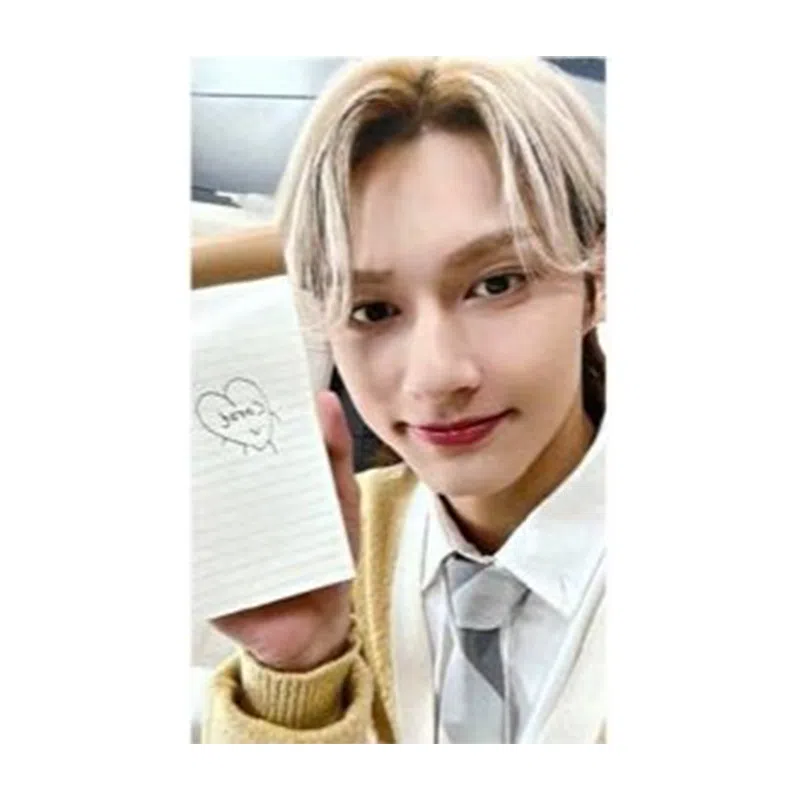 HYBE SEVENTEEN 10FML