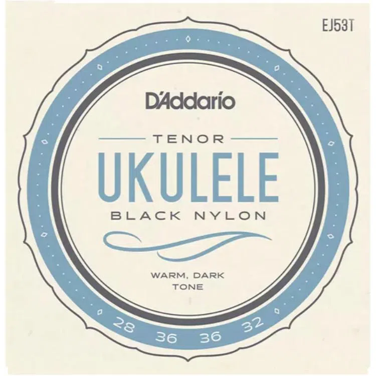 D'Addario EJ53