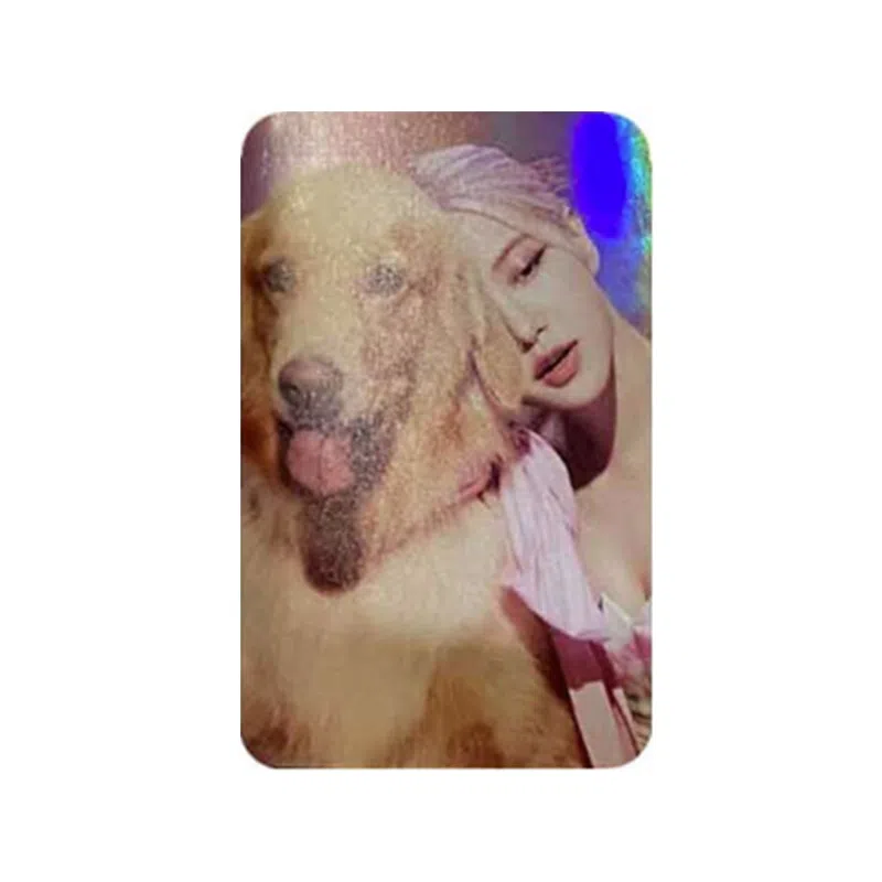 YG Entertainment BLACKPINK THE SHOW LIVE