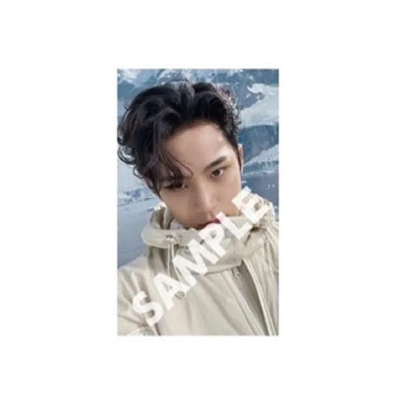 HYBE SEVENTEEN SECTOR 17