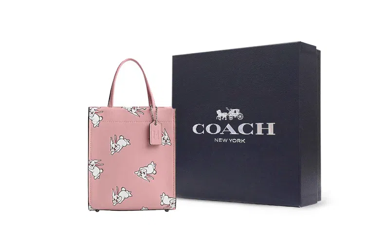 COACH x Cashin 14 Tote