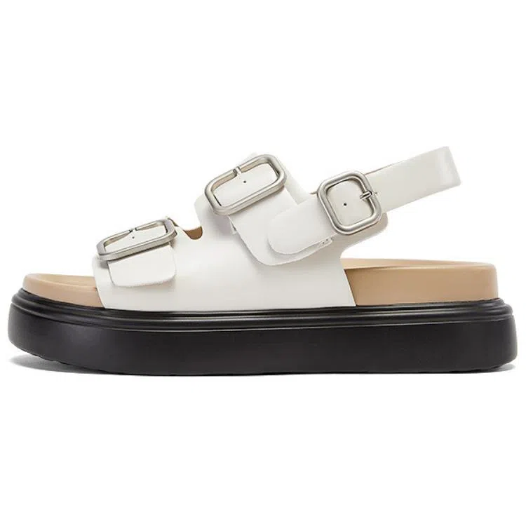 DAPHNE PU