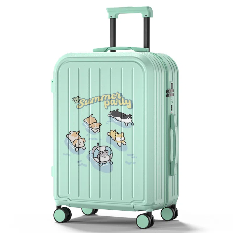 Zecedo ABS+PC 2024262228