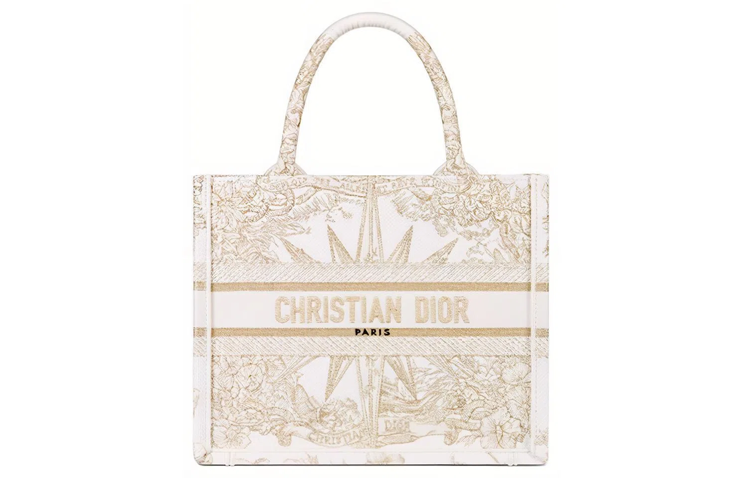 DIOR BookTote Tote