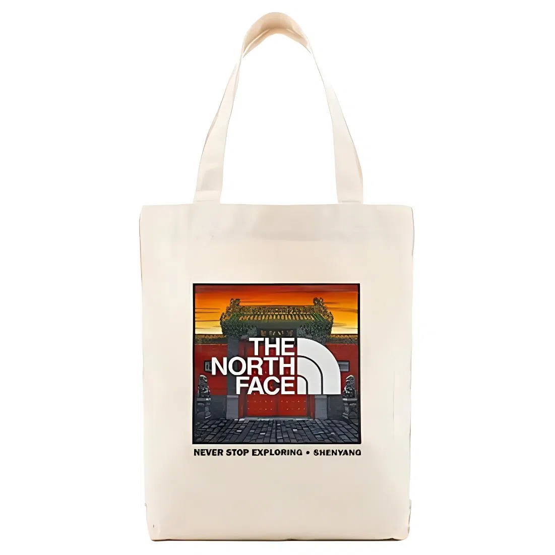 THE NORTH FACE 12.5L Tote