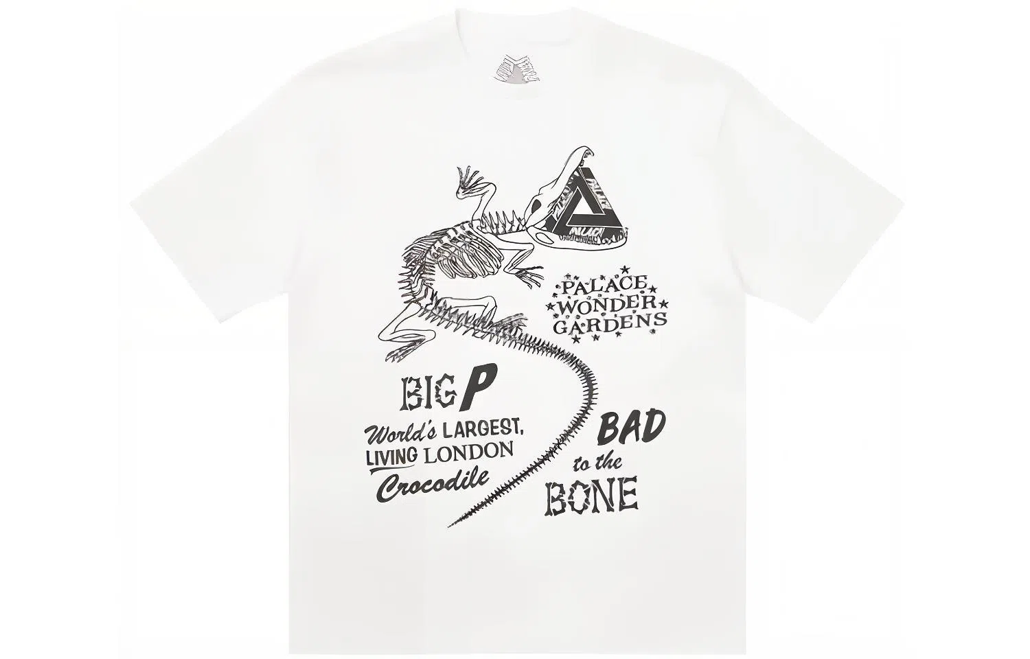 PALACE FW22 Ultimo T