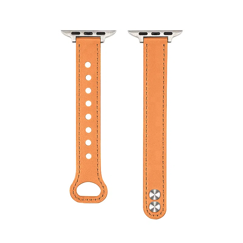 Penc iwatch Apple Watch s987654se2