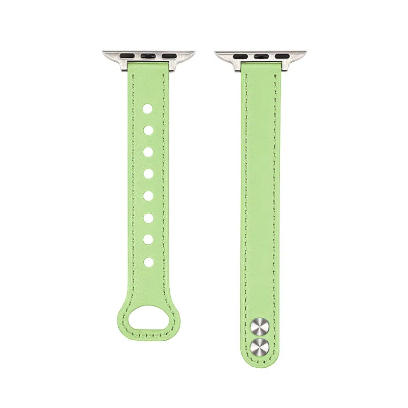 Penc iwatch Apple Watch s987654se2
