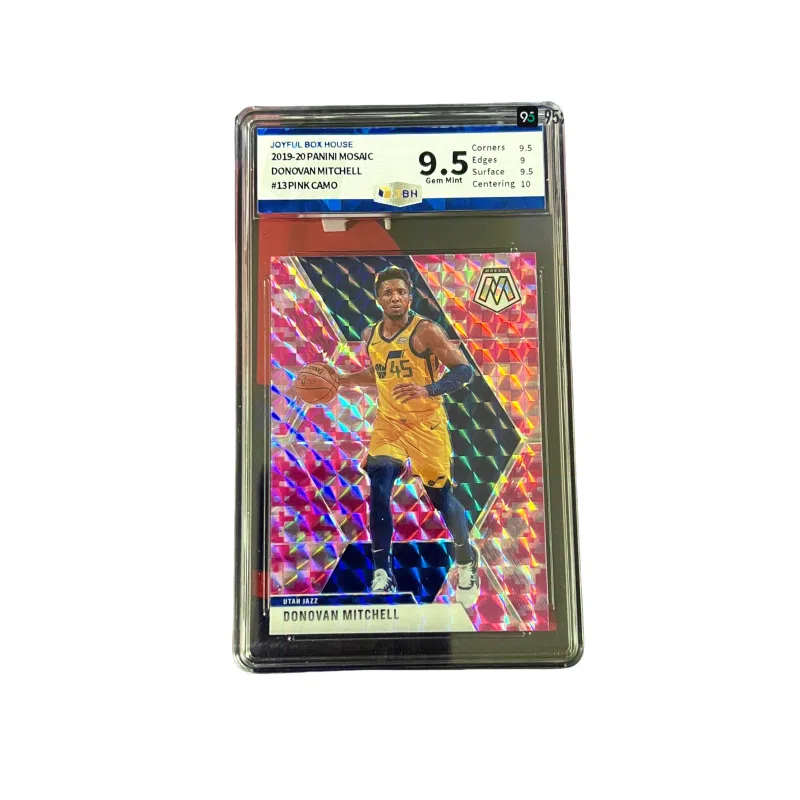 PANINI 2019-20 Mosaic