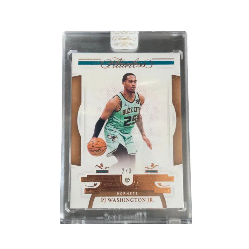 PANINI 2020-21 FlawlessPJ23 3