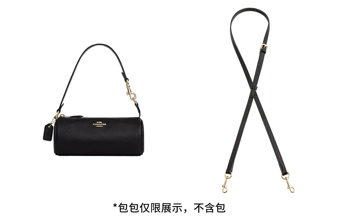 coach nolita 20
