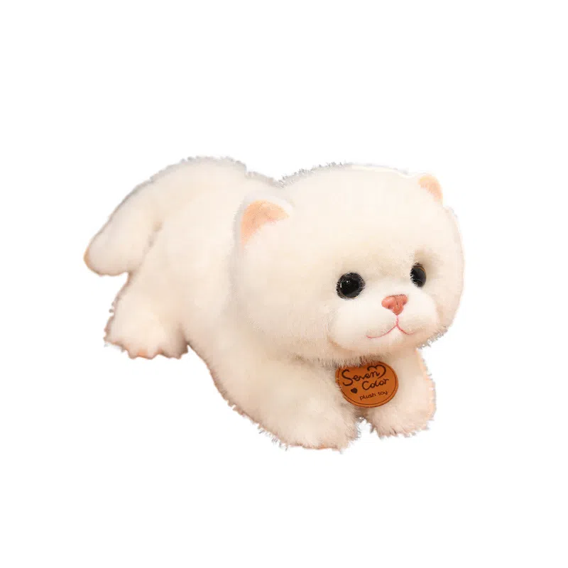 Brangdy 35cm