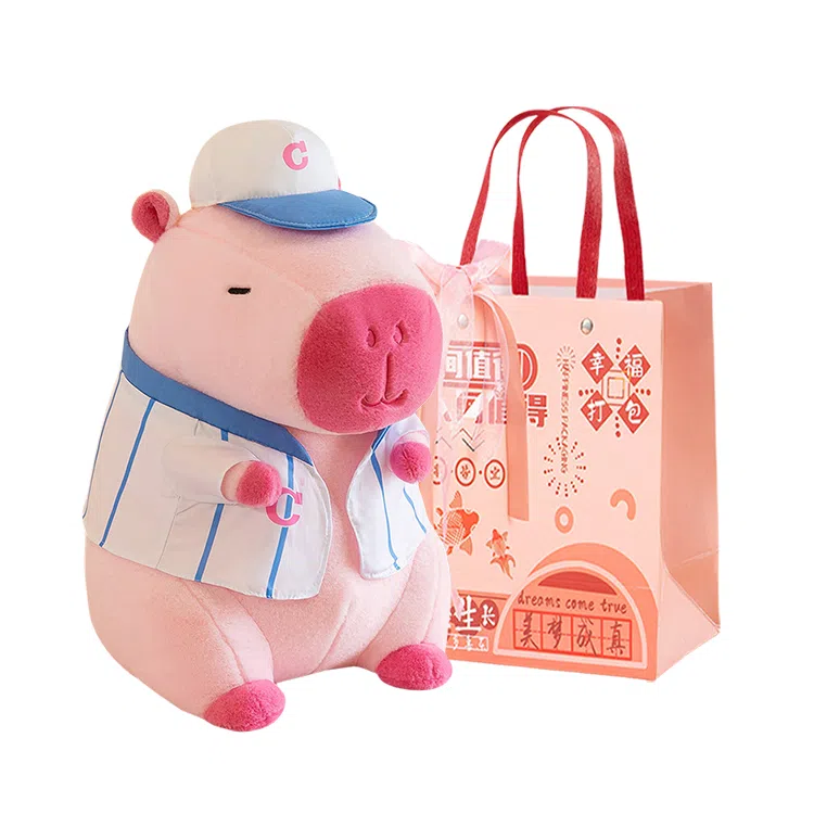 22cm35cm45cm55cm68cm