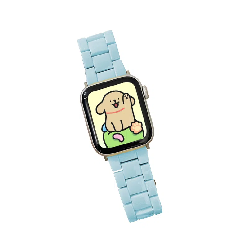Akkerds Apple Watch