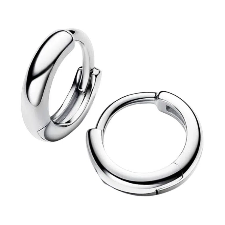 Pandora Earrings Silver