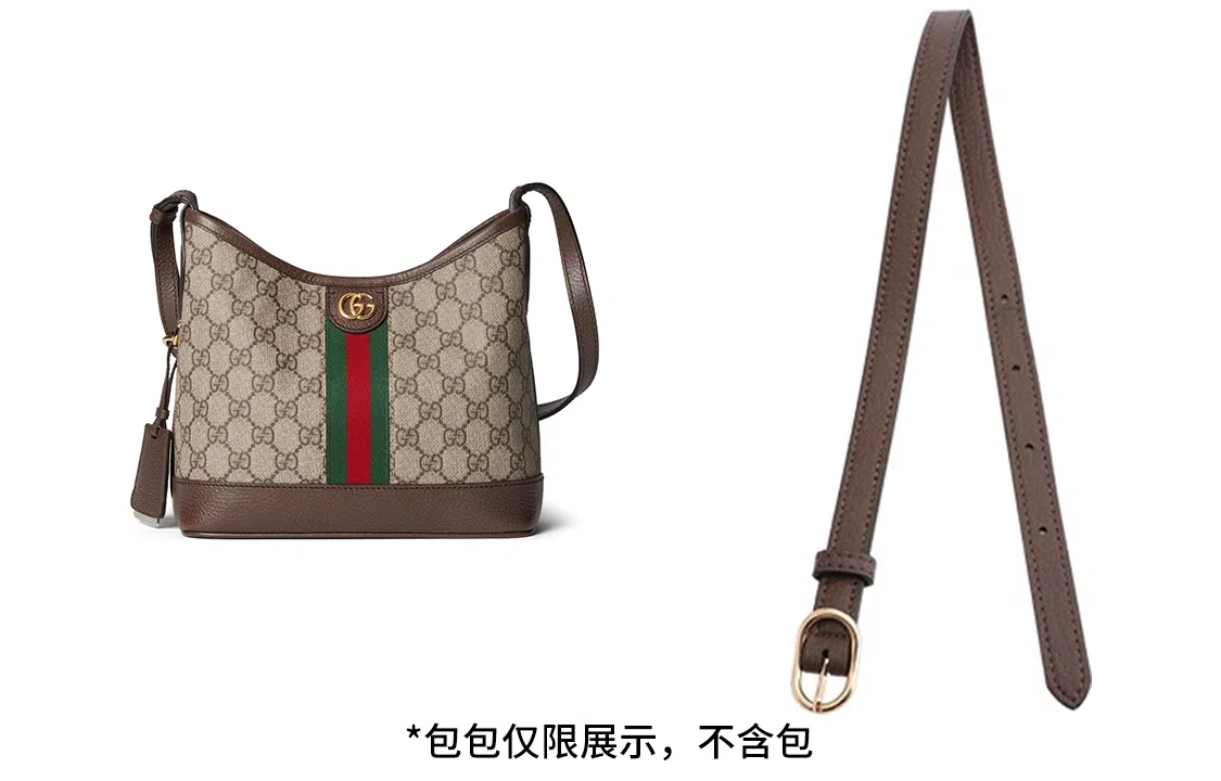 Gucci Ophidia Hobo