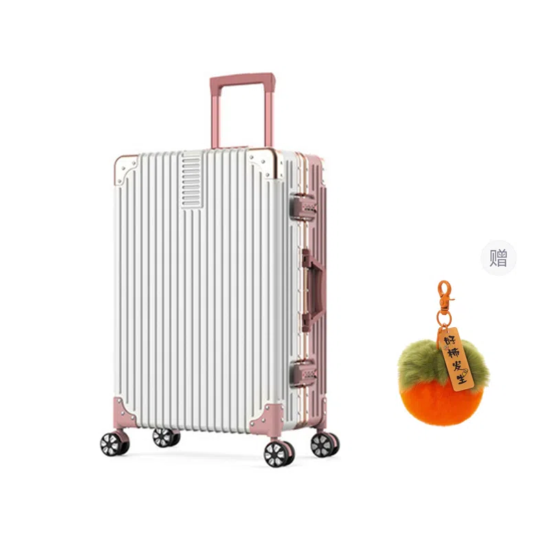 GOX ABS+PC 2024262228