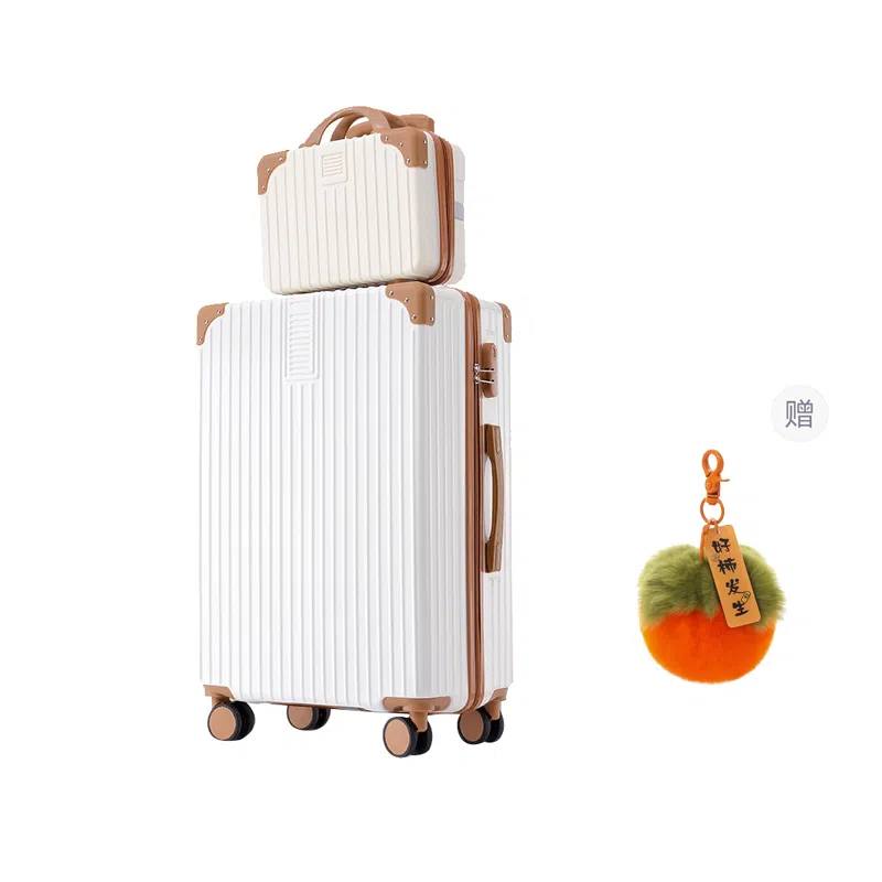 GOX ABS+PC 2024262228