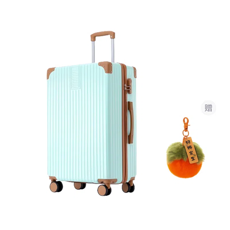 GOX ABS+PC 2024262228