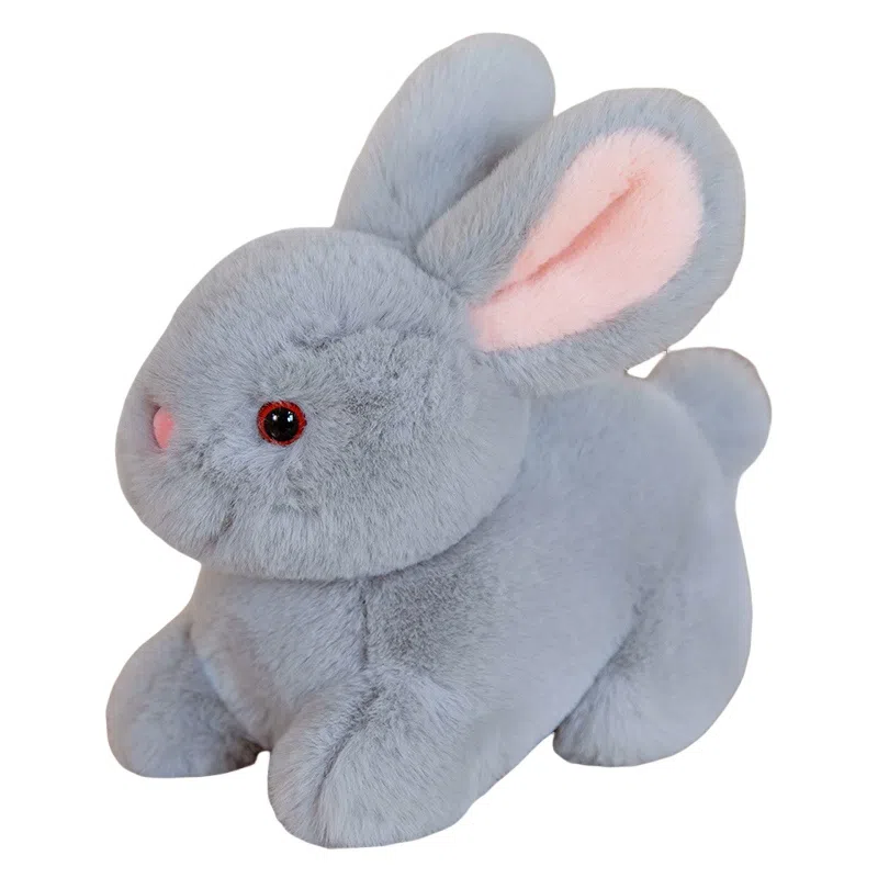 ZHUOQU 15cm20cm30cm