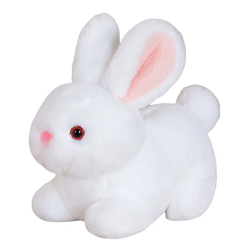 ZHUOQU 15cm20cm30cm