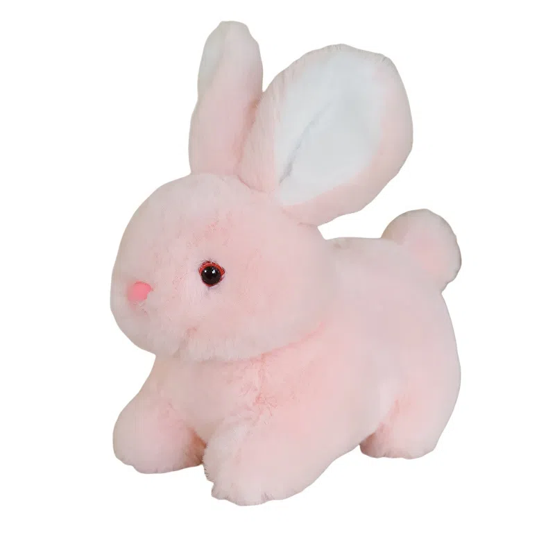 ZHUOQU 15cm20cm30cm