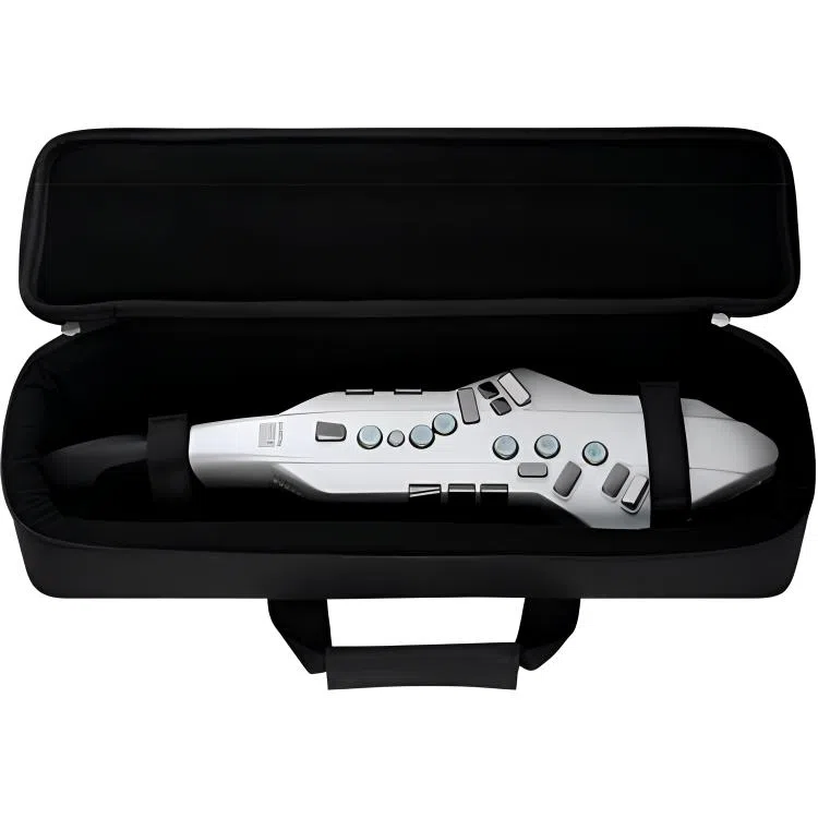 Roland AE05C" Aerophone