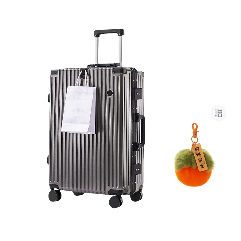 GOX ABS+PC 2024262228