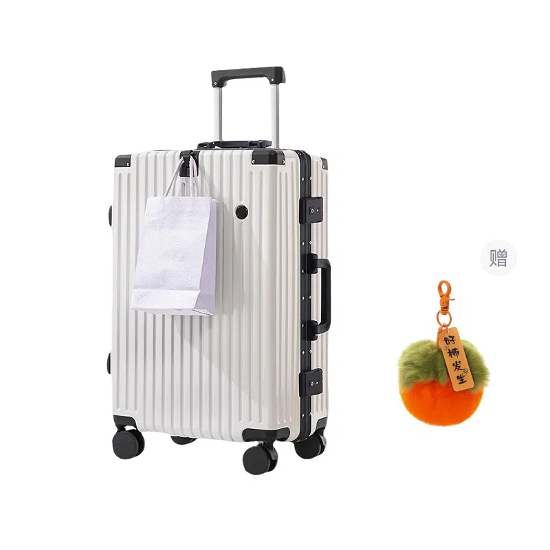 GOX ABS+PC 2024262228