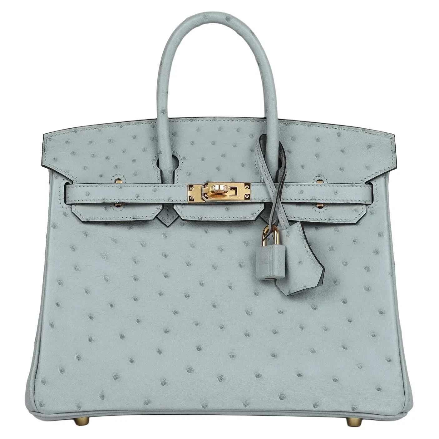 HERMES Birkin 25 NK 8U Bleu Glacier