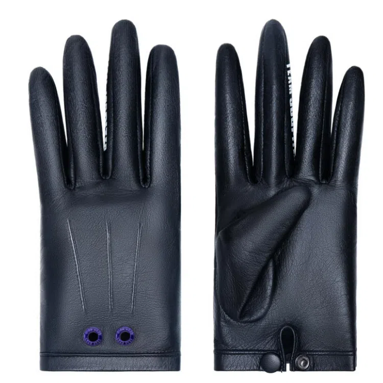 TEAM WANG design logo