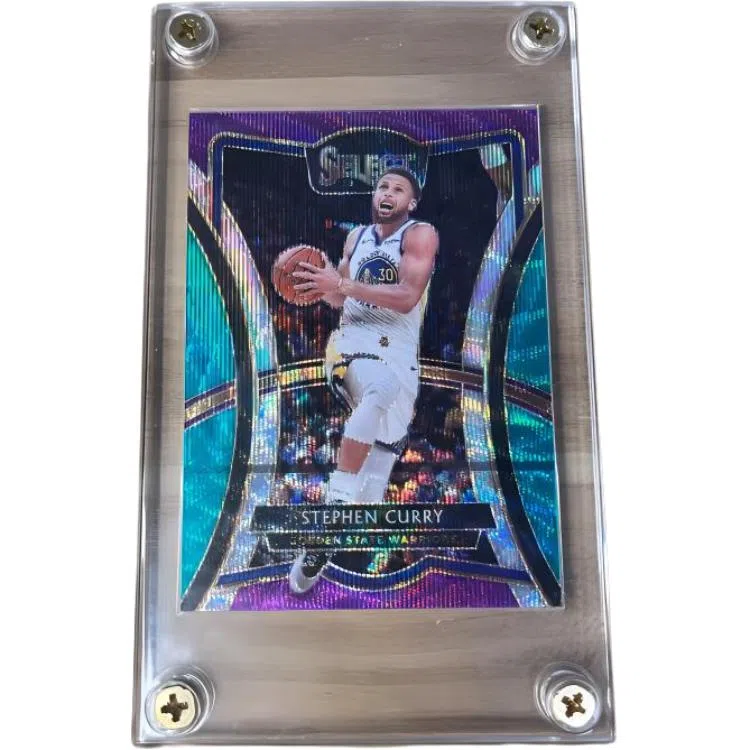 PANINI 2019-2020 select