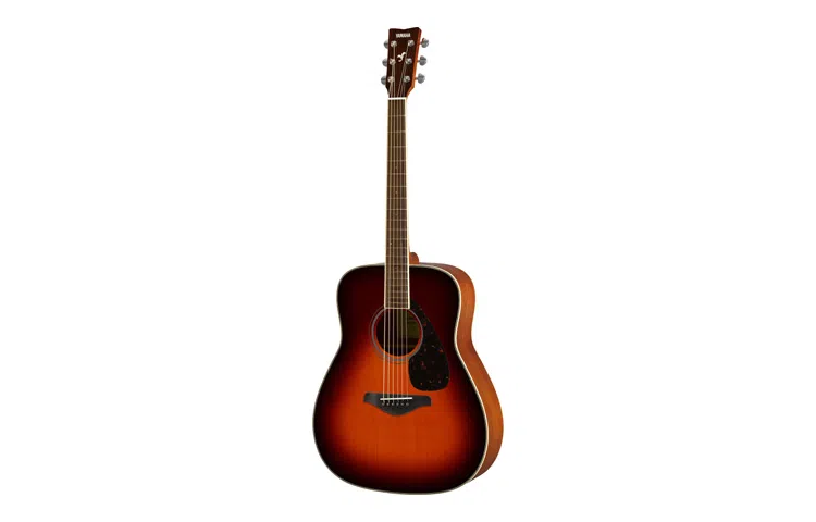 YAMAHA FG820 41 FGX820C