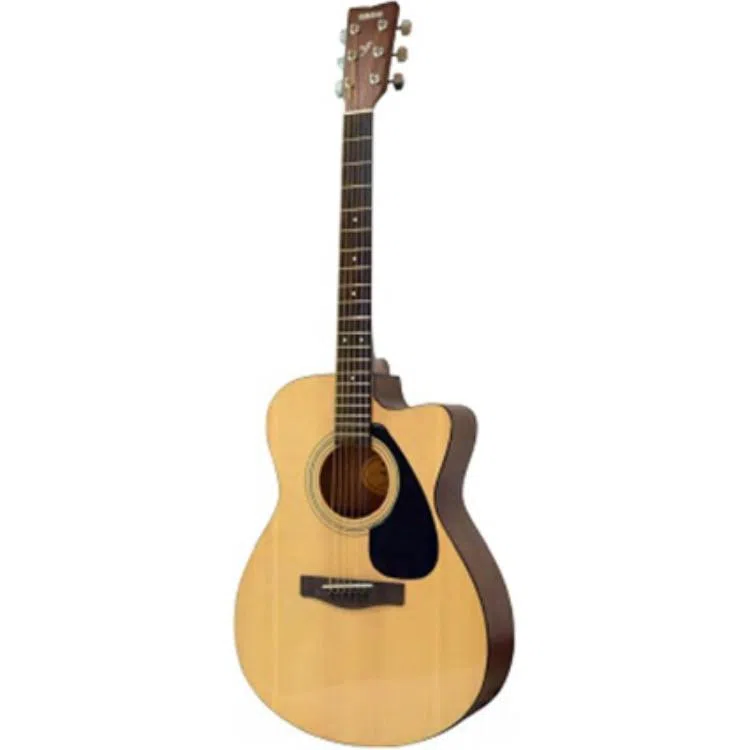 YAMAHA FS100C_NT 40