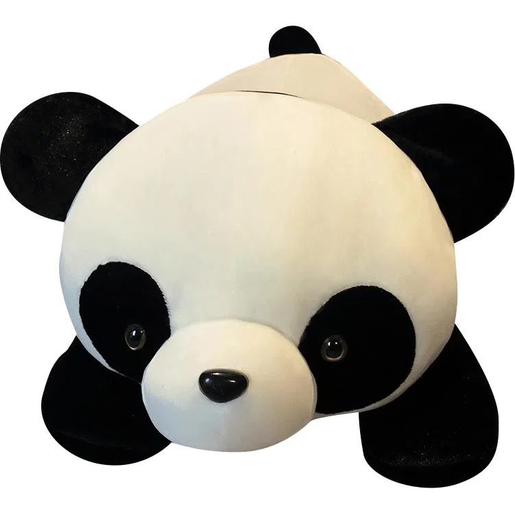 60cm80cm100cm120cm150cm