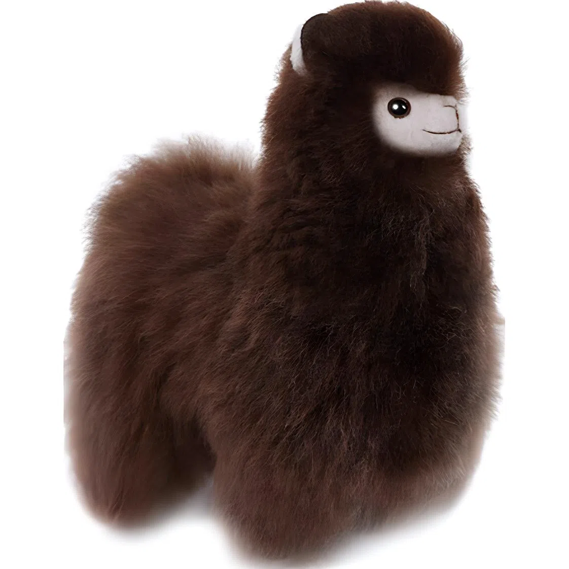 BBFAT ALPACA