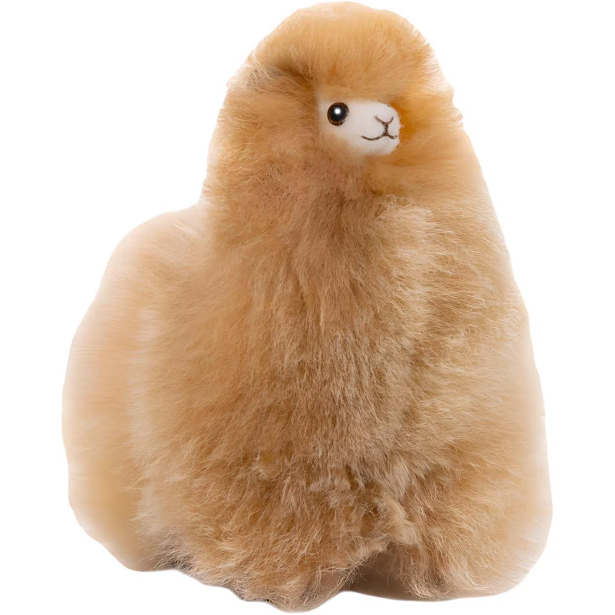 BBFAT ALPACA