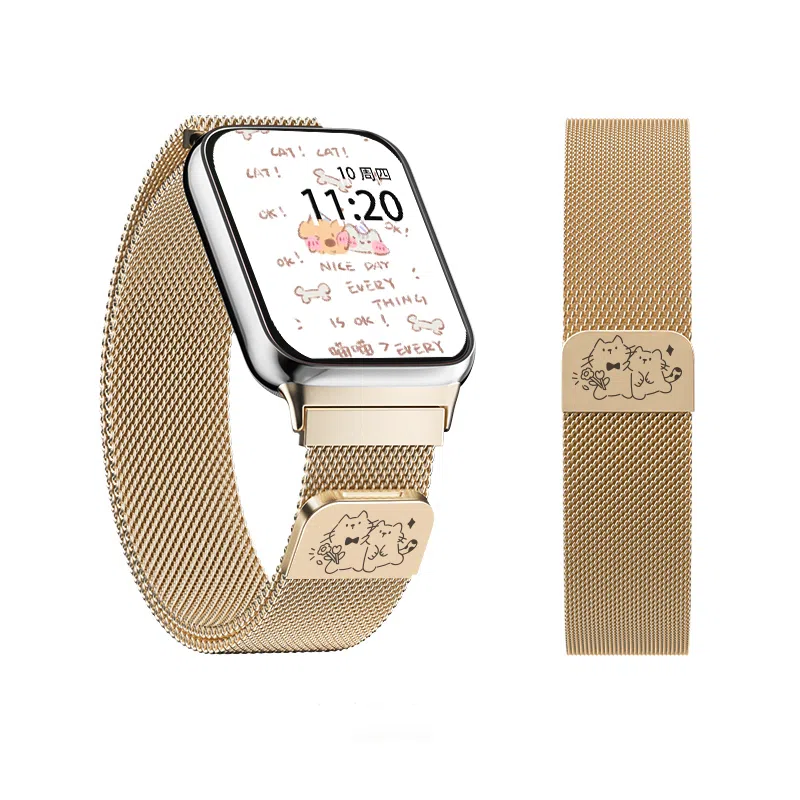 FZRT watch48proNFC