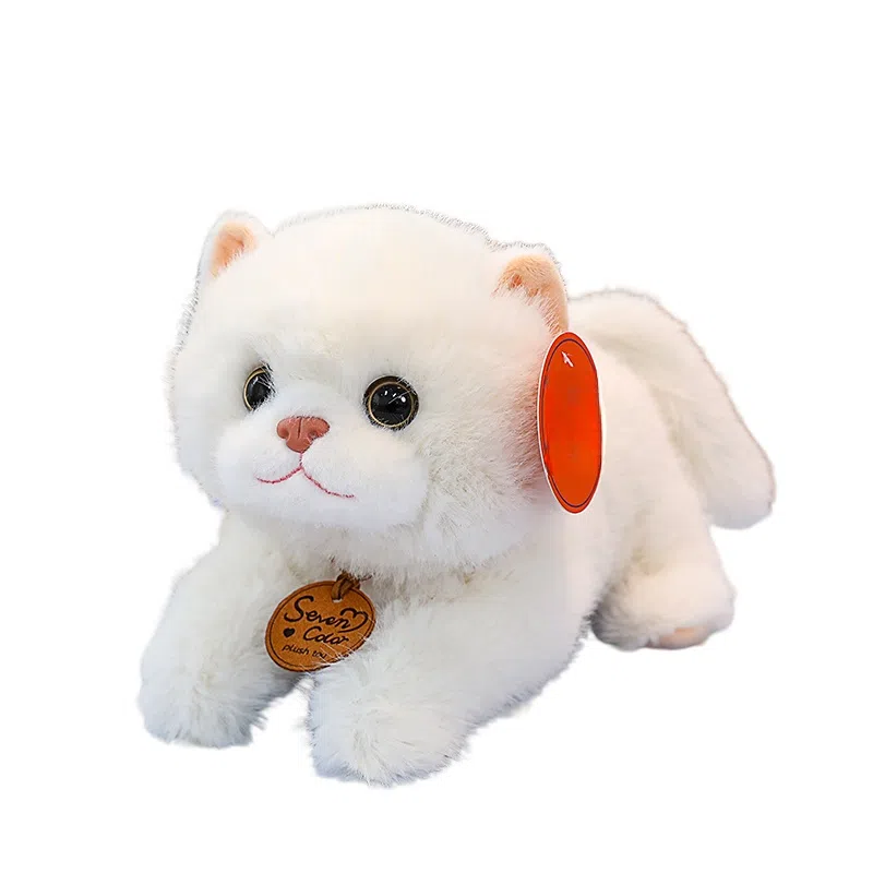25cm33cm