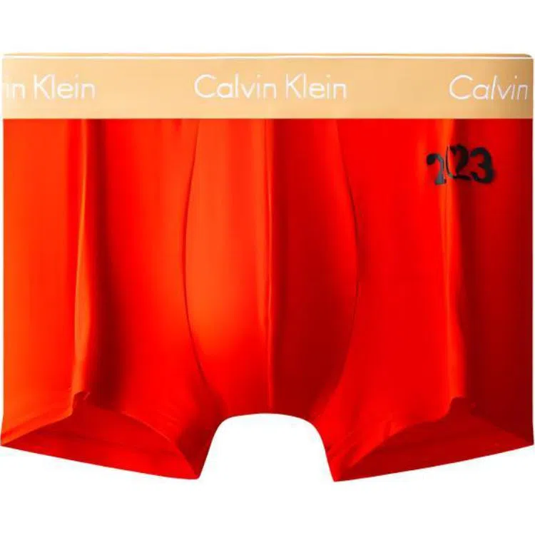 CKCalvin Klein Logo 1