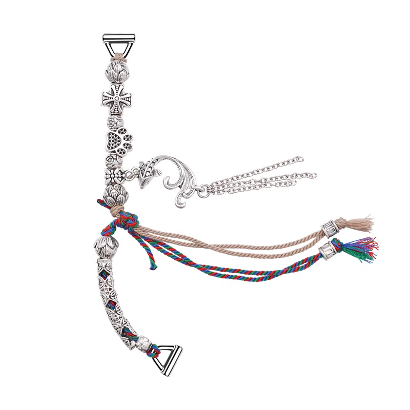 FZRT gt4GT321watch43proGS418mm